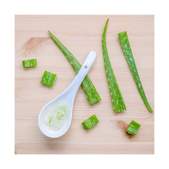 Holika Holika Aloe Cleansing Foam