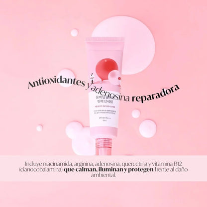 ROUND LAB - Camellia Deep Collagen Firming Sun Serum 50 ml