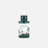Round Lab - Pine Calming Cica Ampule 30 ml