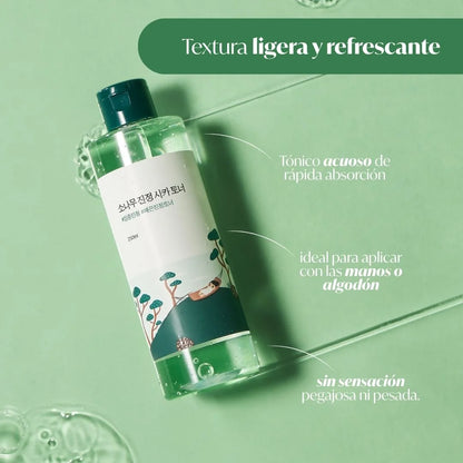 ROUND LAB - Pine Calming Cica Toner 250ml