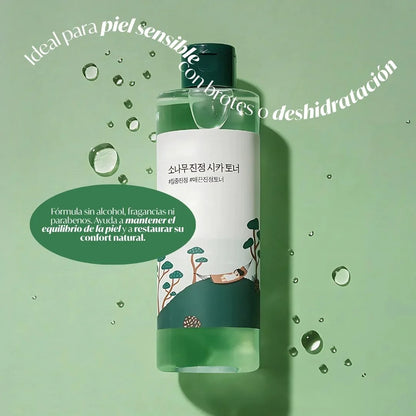 ROUND LAB - Pine Calming Cica Toner 250ml